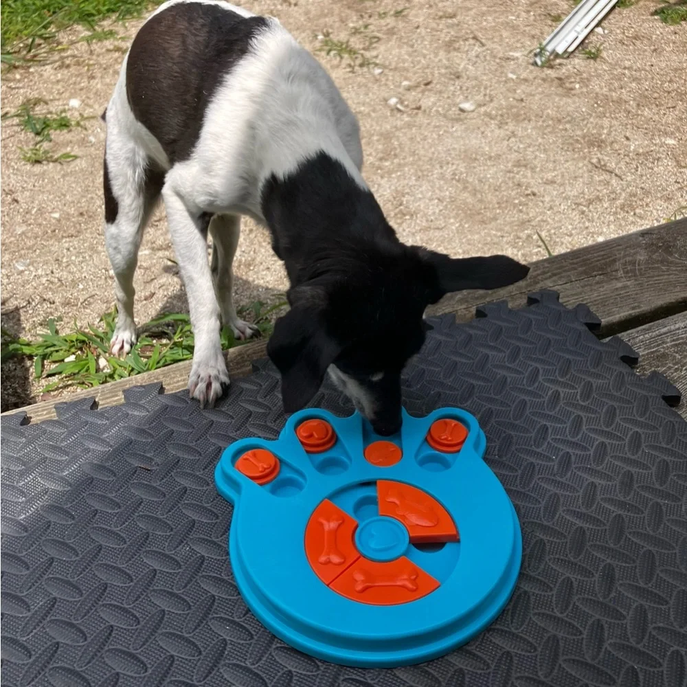 Dog Puzzle Paw Print Pet Toy, Hide & Seek the Treats Game, Puppy Cat Guinea Pig